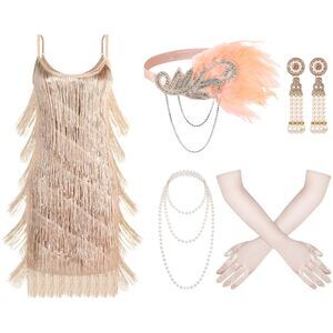 4796 6 Pcs Flapper Dress Flapper Costumes For 1920s